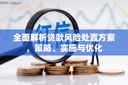 金城全面解析贷款风险处置方案，策略、实施与优化