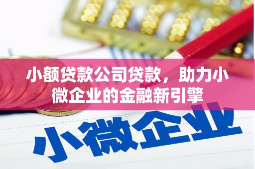 金城小额贷款公司贷款，助力小微企业的金融新引擎