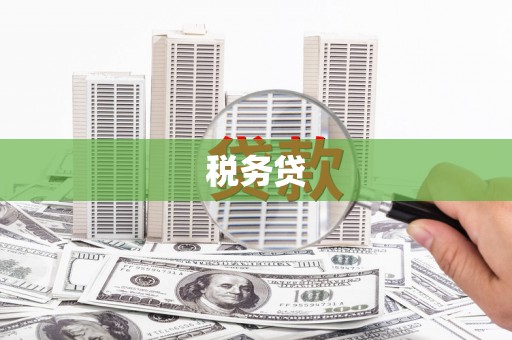 金城税务贷