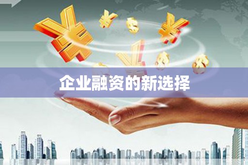 金城企业融资的新选择