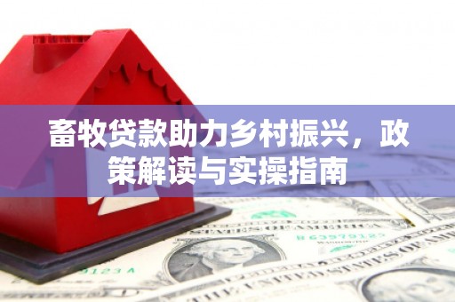 金城畜牧贷款助力乡村振兴，政策解读与实操指南