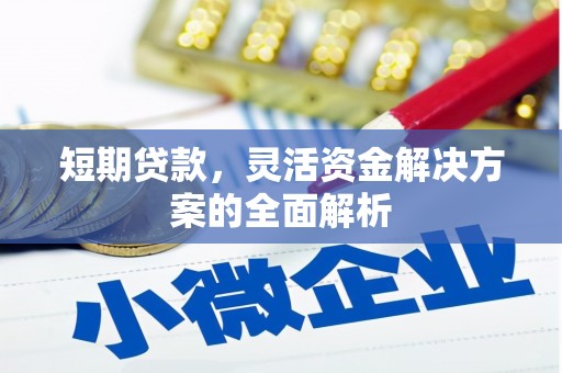 金城短期贷款，灵活资金解决方案的全面解析