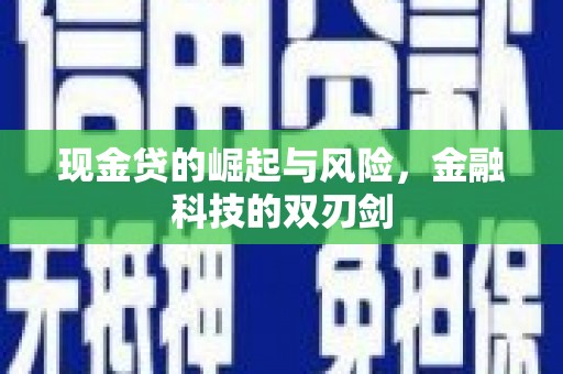 金城现金贷的崛起与风险，金融科技的双刃剑