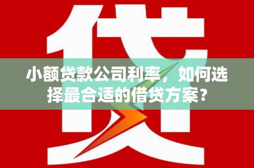 金城小额贷款公司利率，如何选择最合适的借贷方案？