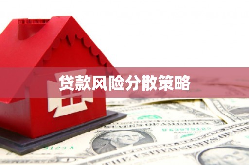 金城贷款风险分散策略