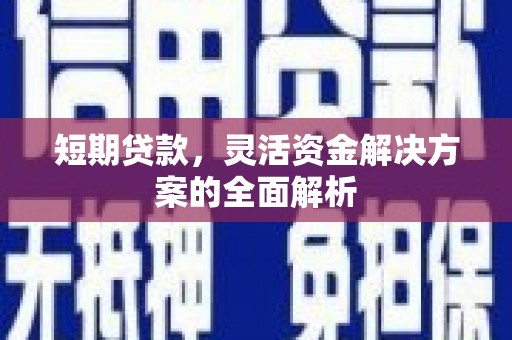 金城短期贷款，灵活资金解决方案的全面解析