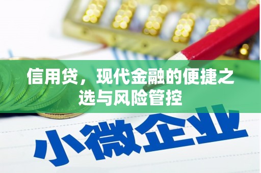 金城信用贷，现代金融的便捷之选与风险管控