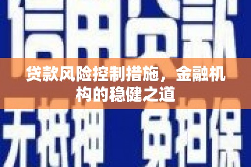 金城贷款风险控制措施，金融机构的稳健之道
