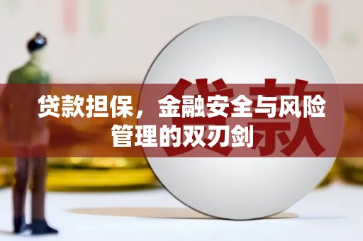 金城贷款担保，金融安全与风险管理的双刃剑