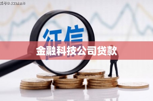 金城金融科技公司贷款