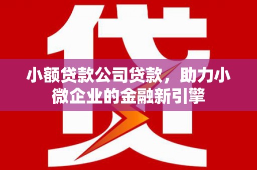 金城小额贷款公司贷款，助力小微企业的金融新引擎