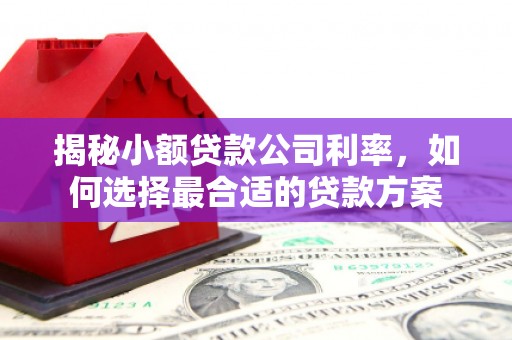 金城揭秘小额贷款公司利率，如何选择最合适的贷款方案