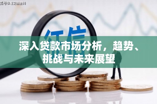 金城深入贷款市场分析，趋势、挑战与未来展望