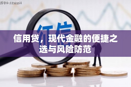 金城信用贷，现代金融的便捷之选与风险防范