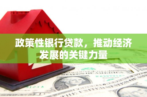 金城政策性银行贷款，推动经济发展的关键力量