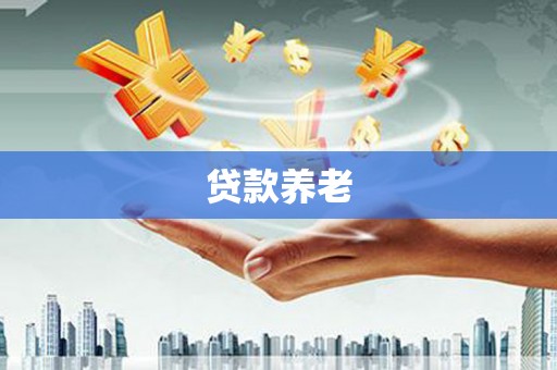 金城贷款养老