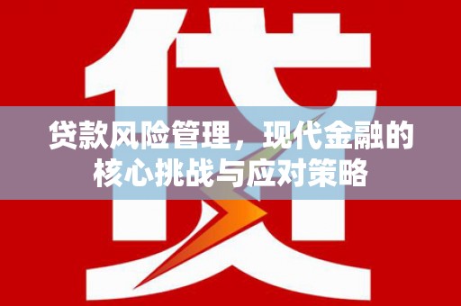 金城贷款风险管理，现代金融的核心挑战与应对策略