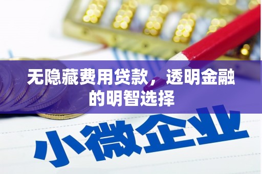金城无隐藏费用贷款，透明金融的明智选择