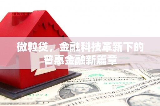 金城微粒贷，金融科技革新下的普惠金融新篇章