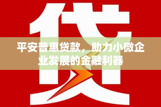金城平安普惠贷款，助力小微企业发展的金融利器