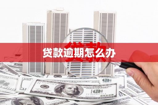 金城贷款逾期怎么办