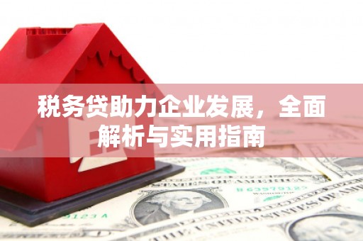 金城税务贷助力企业发展，全面解析与实用指南