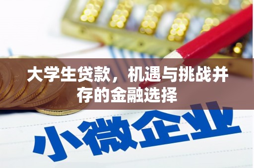 金城大学生贷款，机遇与挑战并存的金融选择