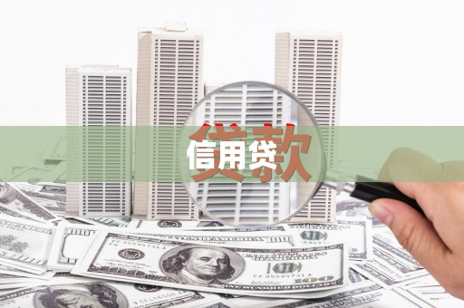 金城信用贷