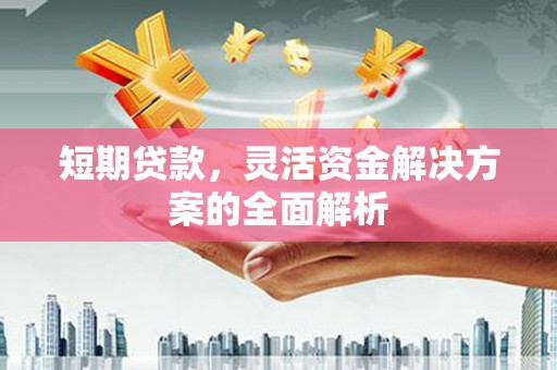 金城短期贷款，灵活资金解决方案的全面解析