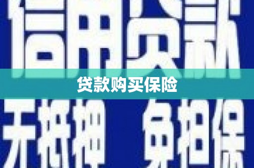 金城贷款购买保险