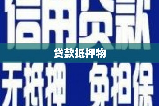 金城贷款抵押物
