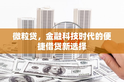 金城微粒贷，金融科技时代的便捷借贷新选择