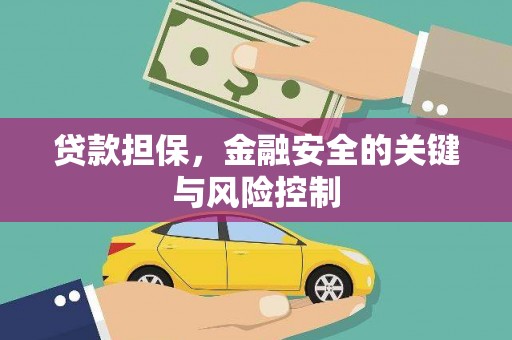 金城贷款担保，金融安全的关键与风险控制
