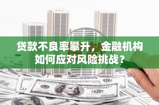 金城贷款不良率攀升，金融机构如何应对风险挑战？