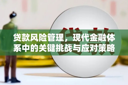 金城贷款风险管理，现代金融体系中的关键挑战与应对策略