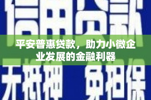 金城平安普惠贷款，助力小微企业发展的金融利器