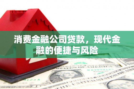 金城消费金融公司贷款，现代金融的便捷与风险