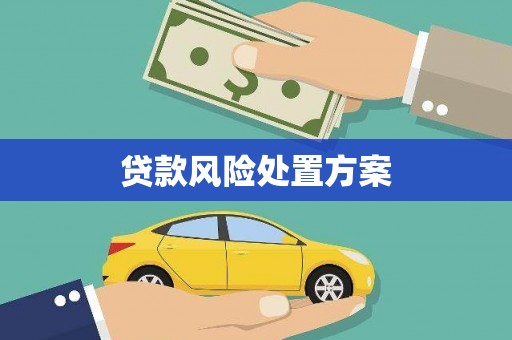 金城贷款风险处置方案