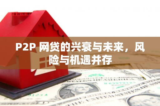 金城P2P 网贷的兴衰与未来，风险与机遇并存