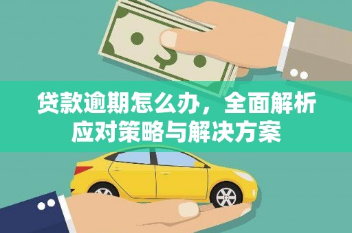 金城贷款逾期怎么办，全面解析应对策略与解决方案