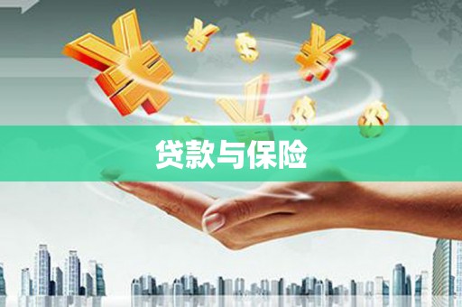 金城贷款与保险