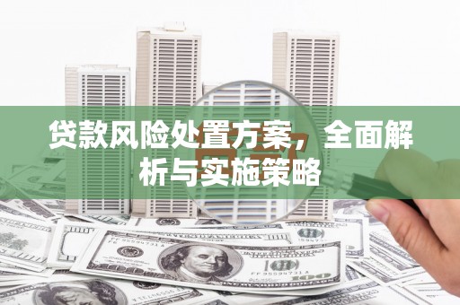 金城贷款风险处置方案，全面解析与实施策略