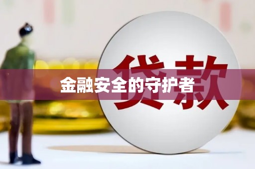金城金融安全的守护者