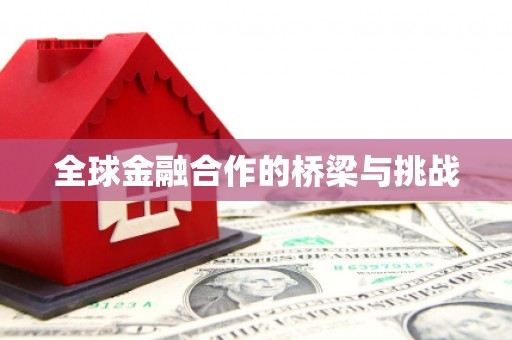金城全球金融合作的桥梁与挑战