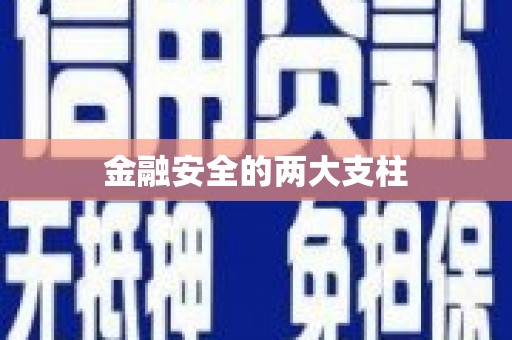 金城金融安全的两大支柱