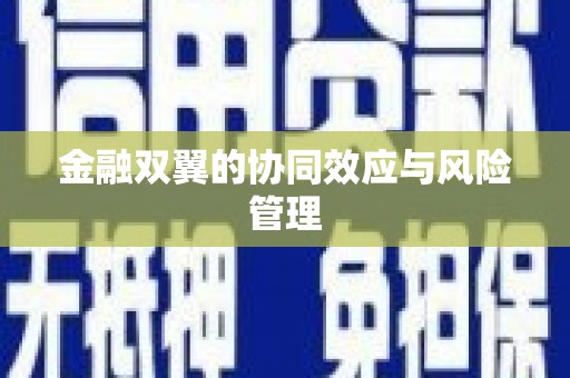 金城金融双翼的协同效应与风险管理