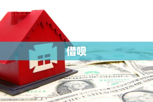 金城借呗