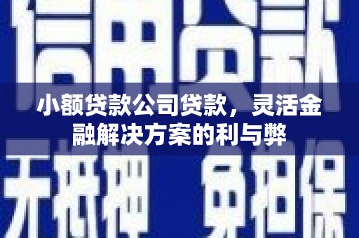 金城小额贷款公司贷款，灵活金融解决方案的利与弊