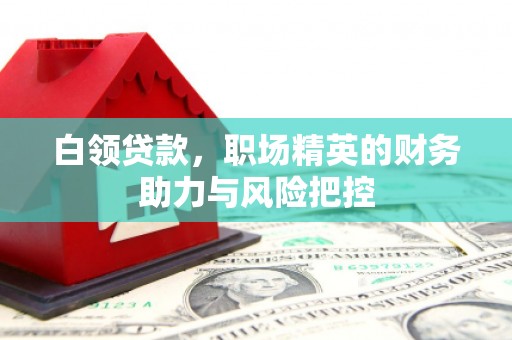 金城白领贷款，职场精英的财务助力与风险把控